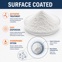 Poudre de carbonate de calcium précipité de qualité industrielle de la marque ZL, haute pureté CaCO3 99% pour le caoutchouc, le plastique, la peinture et les revêtements