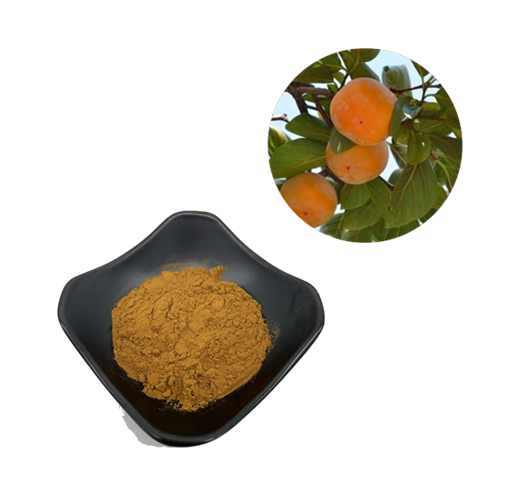 Persimmon Leaf Extract Diospyros Kaki Extract