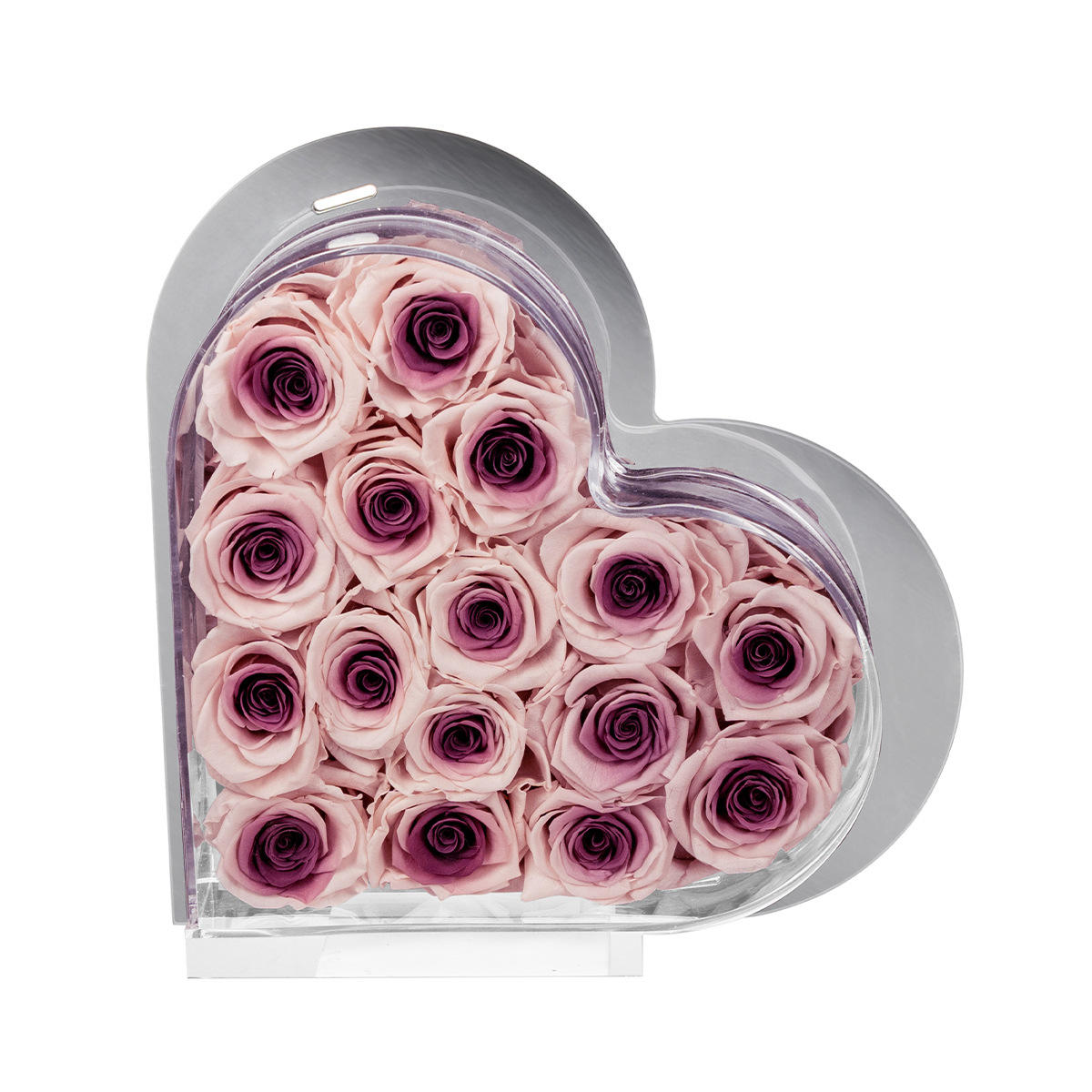 Pink purple gradient