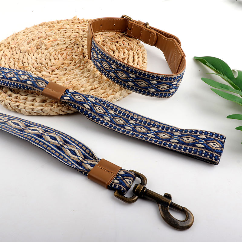Collier et laisse bleus