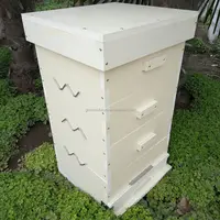Colmena de abejas compuesta de plástico de 3 niveles, equipo de apicultura de 2 capas, suministros de apicultura, fabricante de herramientas de apicultor
