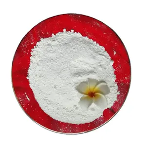 Bột Màu Trắng Rutile Titanium Dioxide