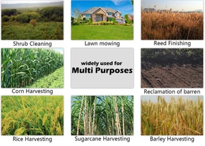 <span class=keywords><strong>Decespugliatore</strong></span> universale pezzi di ricambio per <span class=keywords><strong>decespugliatore</strong></span> linea di taglio in <span class=keywords><strong>acciaio</strong></span> da 3.0MM, sostituzione della fune metallica in Nylon per piscina con corde - Product Image 6