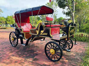 Magnifique chariot de mariage pour votre jour de mariage, transport à chevaux époustouflant, décoration de réception unique - Product Image 4