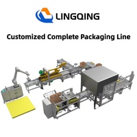 Solution personnalisée de ligne d'emballage complète : machine d'emballage de cartons à la fin de ligne, érecteur, scelleuse, robot palettiseur