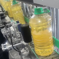 Palmolie Verwerkingsmachine Ruwe Palm Fruit Olie Productielijn Palm Kernel Olie Raffinaderij Machine Fabriek
