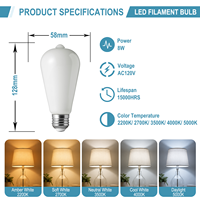Ampoule LED à filament de verre ST19/ST58 à haut CRI90, dimmable, 8W, base E26/E27, super efficace pour la maison, l'hôtel et le commerce