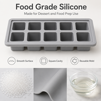 Molde de Silicona para Porciones de Yogur, Bandeja de 10 Cavidades para Postres de Frutas y Preparación de Alimentos para Niños