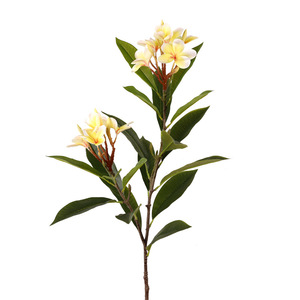 Fleur artificielle Frangipanier à 2 têtes, branche unique, haute simulation, décoration de mariage, fleurs en plastique et soie, jaune, blanc, rose, rouge - Product Image 5