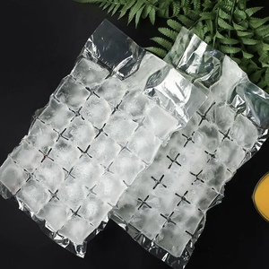 Food Grade Disposable Ice Packs Mold Clear Sealing Ice Grid Bag Passion Fruit Block Artifacts Home Use <b>Plastic</b> <b>Packaging</b> - Product Image 3