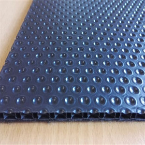 Machine d'extrusion à vis simple PP, contrôlée par PLC, ligne de production de feuilles à bulles à haute productivité pour panneaux d'emballage en plastique - Product Image 6