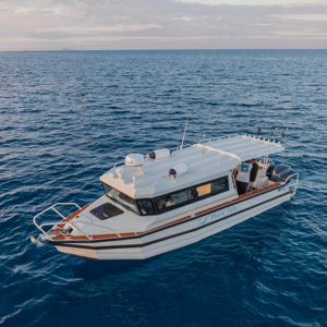 <span class=keywords><strong>Bateau</strong></span> <span class=keywords><strong>de</strong></span> pêche <span class=keywords><strong>en</strong></span> mer Sea King Easycraft <span class=keywords><strong>en</strong></span> aluminium, yacht à cabine fermée, 9 mètres, <span class=keywords><strong>bateau</strong></span> ponton, <span class=keywords><strong>bateau</strong></span> rapide, <span class=keywords><strong>bateau</strong></span> <span class=keywords><strong>de</strong></span> sport, <span class=keywords><strong>bateau</strong></span> pour passagers, 30 pieds - Product Image 1