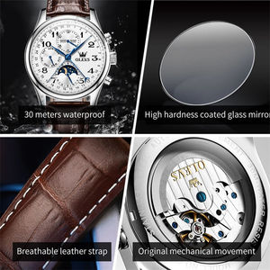 OLEVS-<span class=keywords><strong>Montre</strong></span> mécanique pour homme en acier inoxydable, mouvement automatique, phase de lune, nouveau cadran en cuir tendance, 6667 - Product Image 5