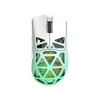 Souris magnétique à micro-mouvement personnalisable, interrupteurs analogiques magnétiques à déclenchement rapide, souris sans fil, capteur PAW3955 8 kHz