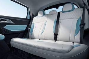 Geely Geometry <span class=keywords><strong>E</strong></span> Firefly EV SUV 301 km <span class=keywords><strong>60</strong></span> <span class=keywords><strong>kW</strong></span> 82 ch 5 places LFP Mini-voiture électrique urbaine familiale Véhicules à énergie nouvelle à l'exportation - Product Image 6