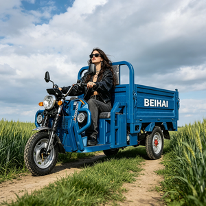 2026 BEIHAI Three Wheeled Supercar Cheap Mini 60V 2000W Scooter 3 Wheel <b>Passenger</b> Tricycles for Adults - Product Image 4