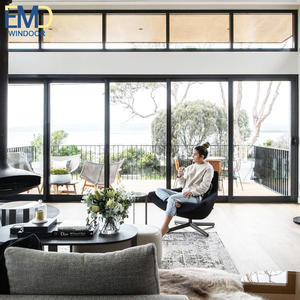 Porte coulissante à panneaux givrés avec un look intérieur élégant - Product Image 5