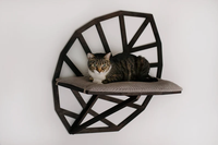 Étagères pour chat Mur d'escalade pour chat Ensemble de mur d'escalade pour chat