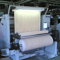 Fabricant de papier contreplaqué laminé Mdf papiers imprégnés stratifiés papiers décoratifs gaufrés pour meubles papier décalcomanie mélamine