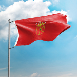 Banderas Promocionales Patrióticas <span class=keywords><strong>de</strong></span> Poliéster Impresas Digitalmente para Eventos Deportivos, Festivales, Celebraciones, <span class=keywords><strong>Navarra</strong></span>, Banderas <span class=keywords><strong>de</strong></span> España <span class=keywords><strong>de</strong></span> 3x5 Pies - Product Image 2