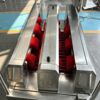 Laveuse industrielle de bottes à passage direct avec brosses de nettoyage intégrées pour semelles et tiges