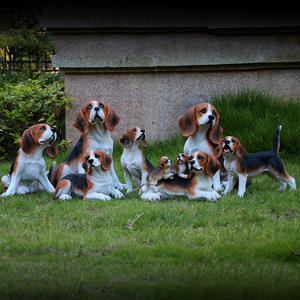 Statue de <span class=keywords><strong>chien</strong></span> en fibre de verre, sculpture d'animal en résine, Golden retriever, pour la décoration de la maison, décor de jardin, nouvelle collection <span class=keywords><strong>2022</strong></span> - Product Image 1