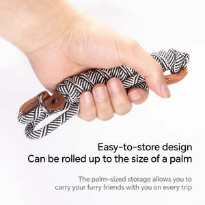 Correa y Collar para perros de varios colores, cuerda P de plomo, entrenamiento para caminar al aire libre, correas duraderas para perros, accesorios para perros - Product Image 4