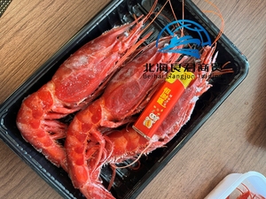 Langostinos Carabinero Congelados con Gran Sabor para Restaurantes, Hoteles y Servicios de Catering, Compre Ahora - Product Image 5