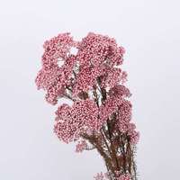 Fabriek Directe Groothandel Bloemen Boeketten Geconserveerde Rijstbloem Voor Huisdecoratie Cadeau Arrangement Yunnan Droge Natuurlijke Express