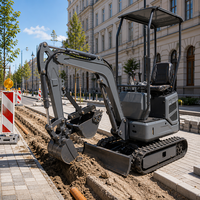 Mini-excavatrice sur chenilles CH-12 de 1 tonne, moteur diesel de 7,5 kW pour vergers, serres et travaux de terrassement