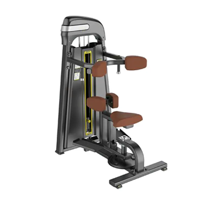 Fitness Apparatuur Commerciële Gym Apparatuur Taille Roterende Torso Machine Voor Gym Center