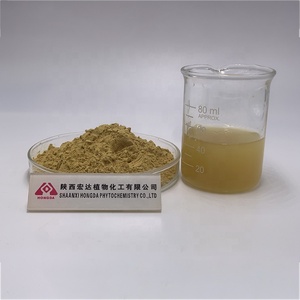 Capsule di Ginkgo Biloba in Offerta, Polvere di Ginkgo Biloba, Estratto di Ginkgo Biloba Conforme agli Standard USP - Product Image 4