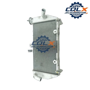 Accesorios para Motocicleta CQLX, Radiador <span class=keywords><strong>de</strong></span> Aluminio para Tanque <span class=keywords><strong>de</strong></span> <span class=keywords><strong>Agua</strong></span> para <span class=keywords><strong>YAMAHA</strong></span> YZF-R15 V3 <span class=keywords><strong>2018</strong></span>-2023 BG7E246001 - Product Image 6