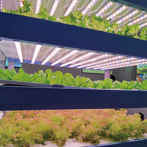 T8 ספקטרום מלא dmable הוביל לגדול אורות עבור צמחים חיסכון אנרגיה g13 בסיס מקורה בצינורות אור גדל - Product Image 3