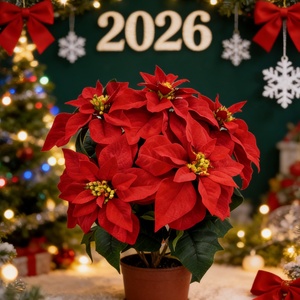 Décoration <span class=keywords><strong>de</strong></span> Noël, mariage, fête des Mères : Bouquet <span class=keywords><strong>de</strong></span> poinsettias rouges faits main, 5 têtes <span class=keywords><strong>de</strong></span> fleurs en velours, 23 pouces – Vente directe usine - Product Image 4