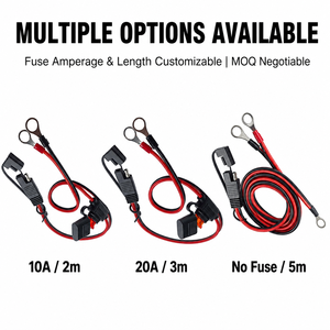 Câble de rallonge de batterie automobile 2 broches 14AWG SAE avec borne O-Ring, faisceau de câblage, fusible 10A 20A, conducteur en cuivre pur PVC 600MM - Product Image 3