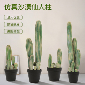 Décoration de sol en plastique en forme de cactus artificiel du désert Dream Castle, plante d'intérieur - Product Image 5