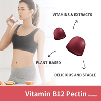 Bonbons Gommeux Véganes Personnalisés à la Vitamine B12 et Pectine Health Nova – Bonbons Gommeux B-Complex – Bonbons Vitaminés
