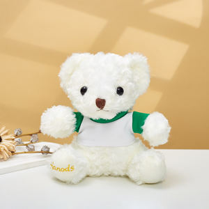 18CM LOGO personalizzato orsacchiotto di alta qualità CE CPC promozionale fatto di cartone animato animale regalo personalizzato t-shirt logoprigoglioso giocattolo - Product Image 6