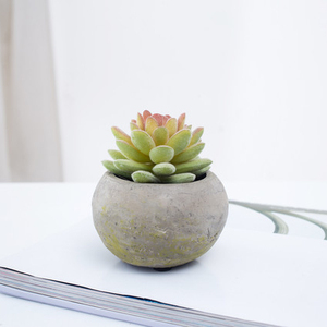 Spéciale incroyable artificielle plantes succulentes cactus herbe bonsaï avec <span class=keywords><strong>pot</strong></span> en béton pour la décoration - Product Image 6