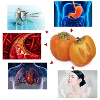 ODM/OEM Groothandel Hoge Kwaliteit Natuurlijk Persimmon Fruitpoeder Persimmon Sap Poeder