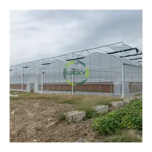 신식 야채 큰 직류 전기를 통한 강철 구조 트러스 녹색 집 구조 태양 건조기 폴리탄산염 온실 농업