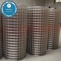 Filet de soudure électrolytique pour cages à oiseaux, treillis soudé galvanisé à mailles carrées, fabriqué en fil de fer de haute qualité - Directement de l'usine de Guangzhou