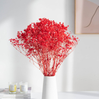 Karangan Bunga Baby's Breath Kering Alami Grosir, Gypsophila Awet Berwarna-warni untuk Dekorasi Pernikahan, Hadiah Hari Ibu