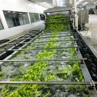 Línea de clasificación de lavado de frutas y verduras industrial-Lavadora de tomates con función de secado para uso comercial