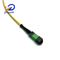 Câble de raccordement optique MPO industriel 12 fibres SM Push-Pull Tab G.657A2 G.657A1 G.652D, interconnexion haute densité 100G 400G 800G Trunk