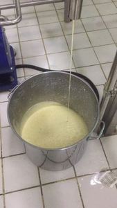 Separatore di Crema Centrifugo per Uso in Fattoria Lattiero-Casearia 2000L/H - Product Image 6