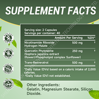 Capsules de nicotinamide riboside liposomale 900 mg, marque privée OEM, NAD+, soutien énergétique cellulaire, vieillissement sain, adulte, 2 capsules par dose