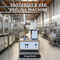 Goede Kwaliteit Automatische Industriële Watermeloen Pompoen Ananas Papaja Dunschiller Machine