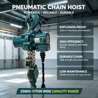 Palans pneumatiques robustes pour mines, capacité de levage de 10 tonnes, hauteur de levage de 3 m, puissance de 2 kW, pression d'air, avec certificat MA